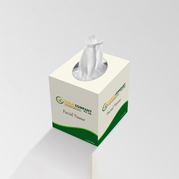 Facial Tissue Paper (Square Box)